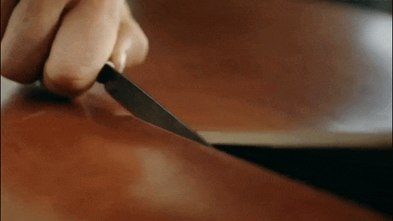 1773476288680456.gif